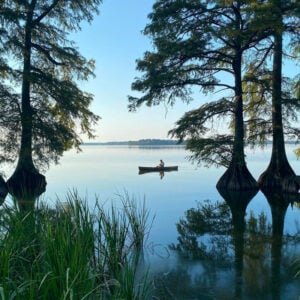 Reelfoot Lake State Park