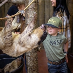 Southland Safari Tours