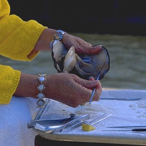 Tennessee River Freshwater Pearl Museum