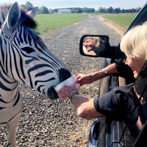 Tennessee Safari Park