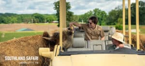 Southland Safari